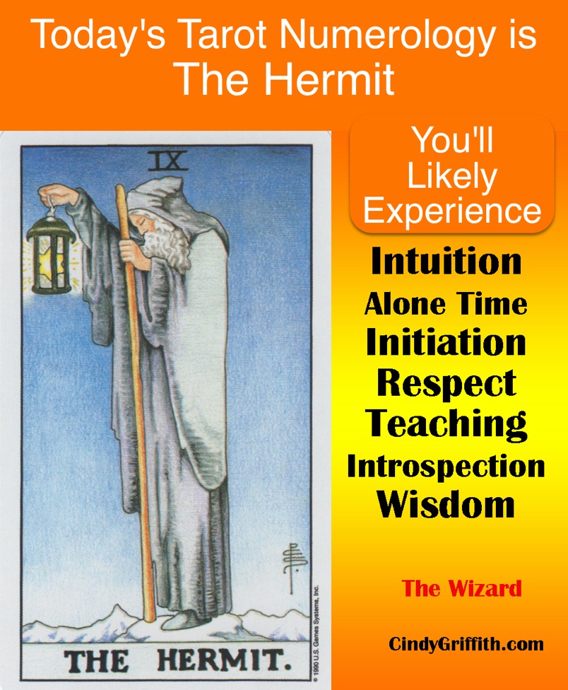 2025 The Year of the Hermit